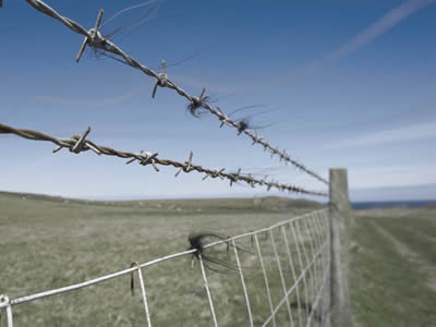 Barbed Wire