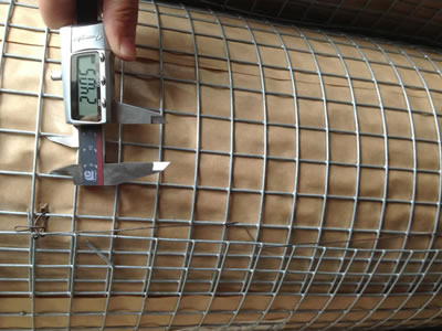 Galvanized Welded Wire Mesh