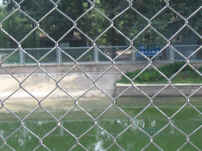 Stainless Steel Chain Link Fence